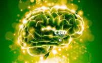 CBD - hogyan működik az emberi agyban