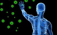 Az immunitás erősítése - Néhány garantált tipp a kender használatával