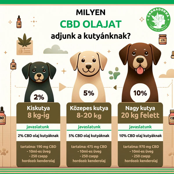 Milyen-CBD-olajat-adjunk-a-kutyanknak